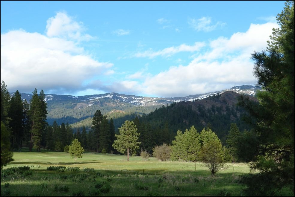 Table Mountain from Liberty Meadows by n7fsp