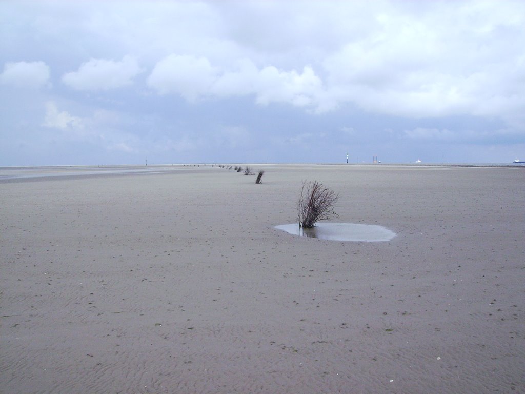 Weites wattenmeer by schotte