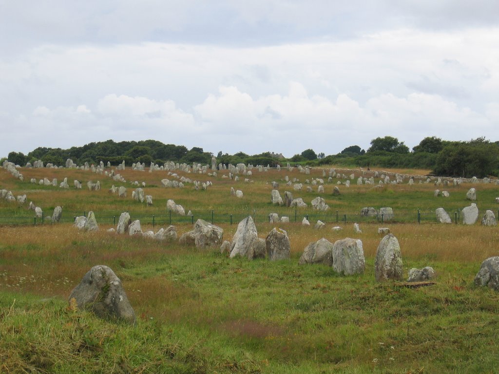 DD-Carnac-stones 1 by aaplus13