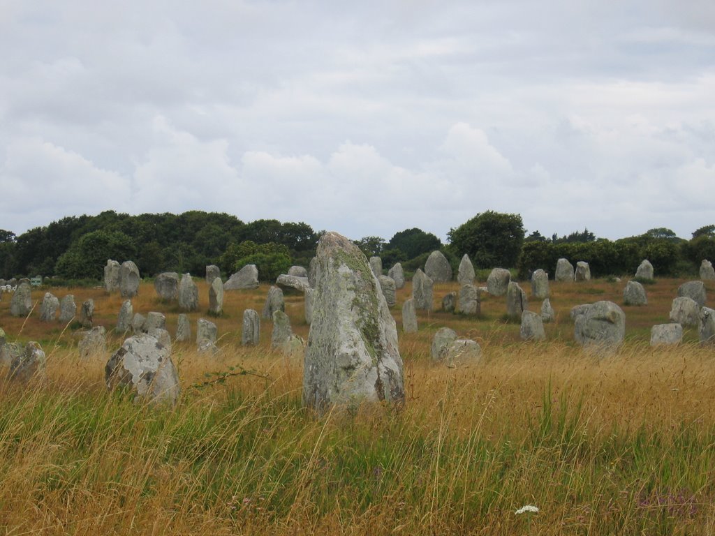 DD-Carnac-stones 2 by aaplus13