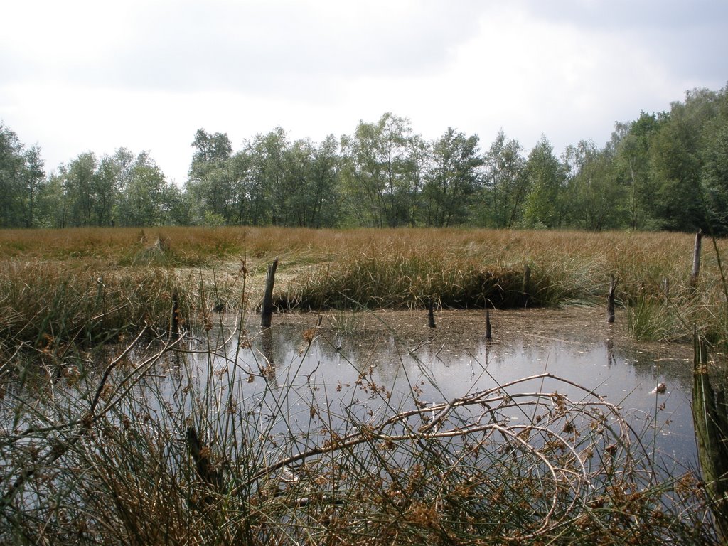 Venner Moor by mar.ha