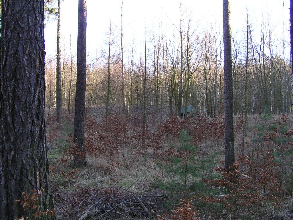 Bunker, Raketenstützpunkt "Taucherwald" by tomasch1