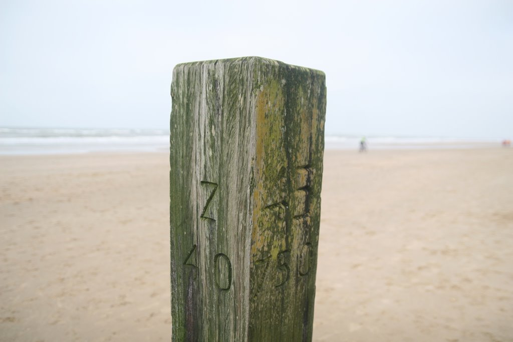 Beach at Castricum by tomatos