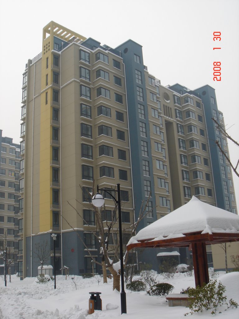 新景花园2008雪景 by closewindow