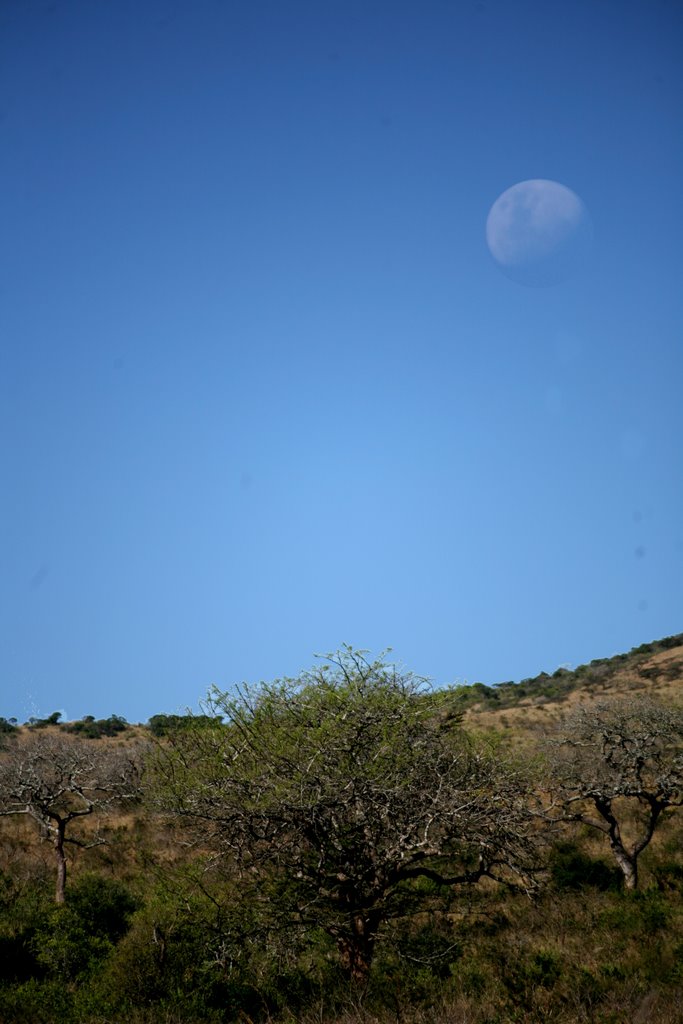 Hluhluwe-Umfolozi Game Reserve, Hluhluwe, KwaZulu-Natal, South Africa by Hans Sterkendries