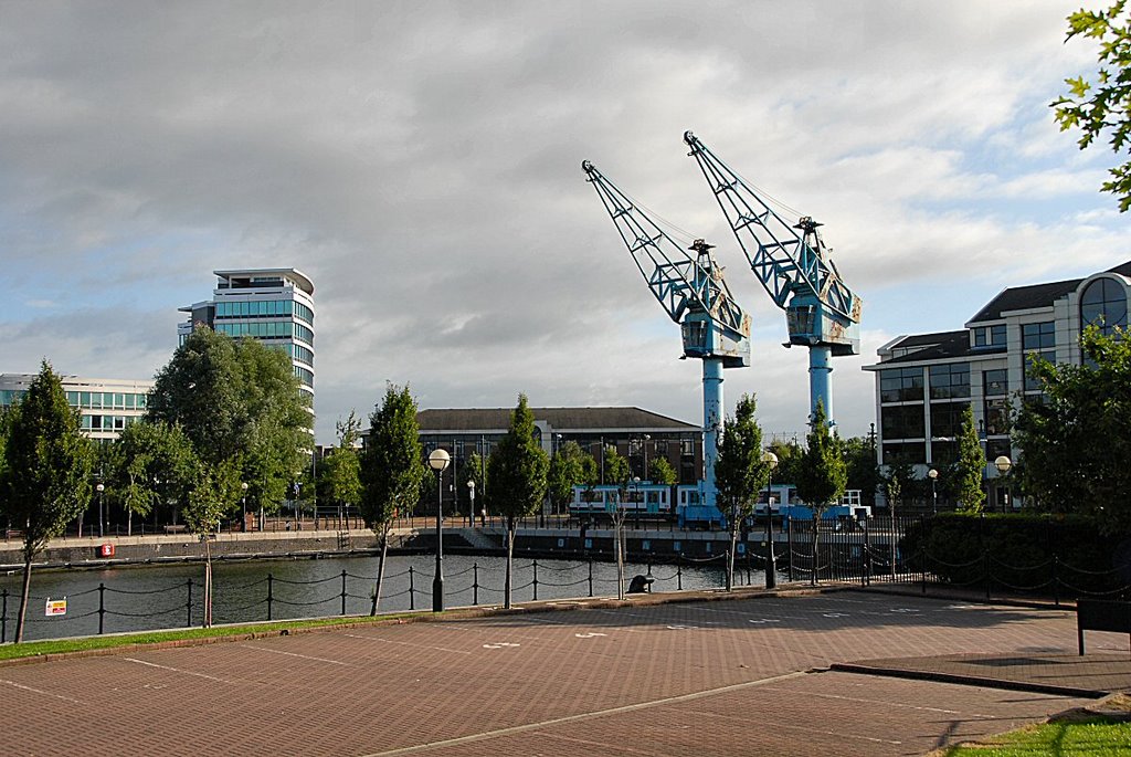 The old Cranes by David Humphreys