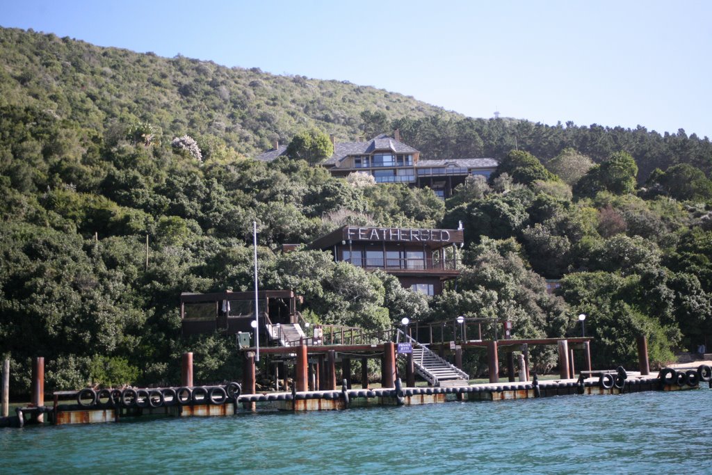 Featherbed Island, Knysna, Western Cape Province, South Africa by Hans Sterkendries