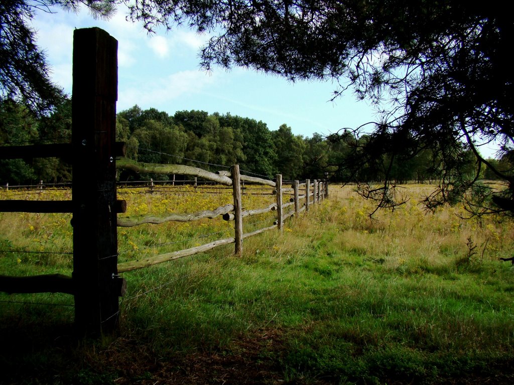 Natuurgebied De Stippelberg, Milheeze by uaf