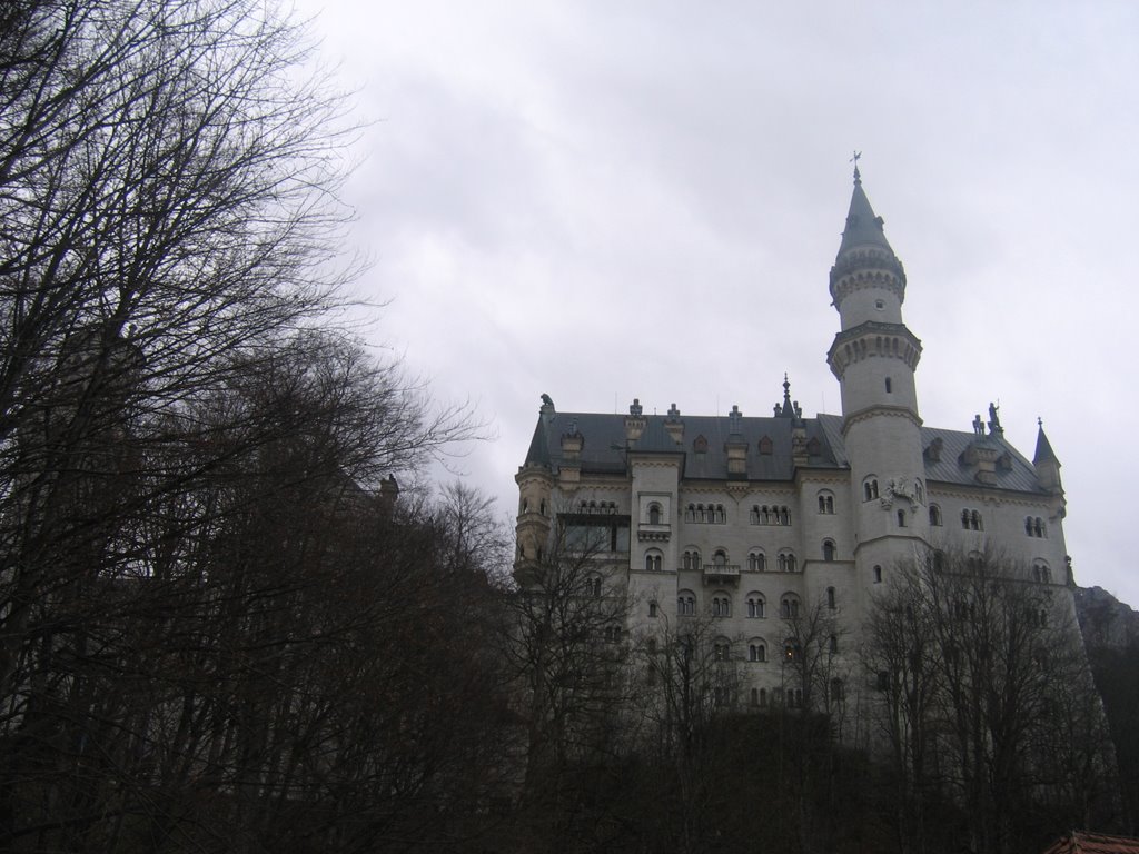 Neuschwanstein by Luigi Apogeo