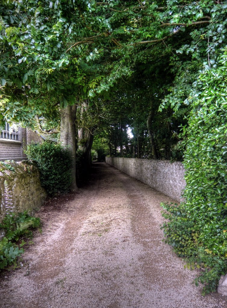 29890 Brignogan-Plages, France by Ralf Es