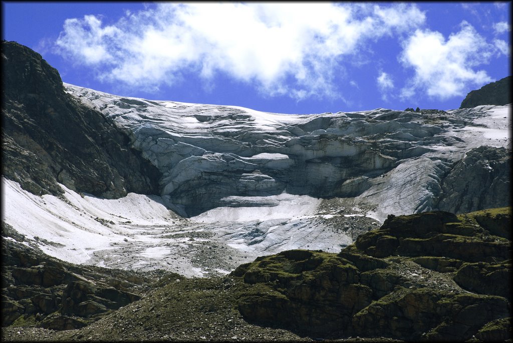 Vanille ice ? by claudio d.