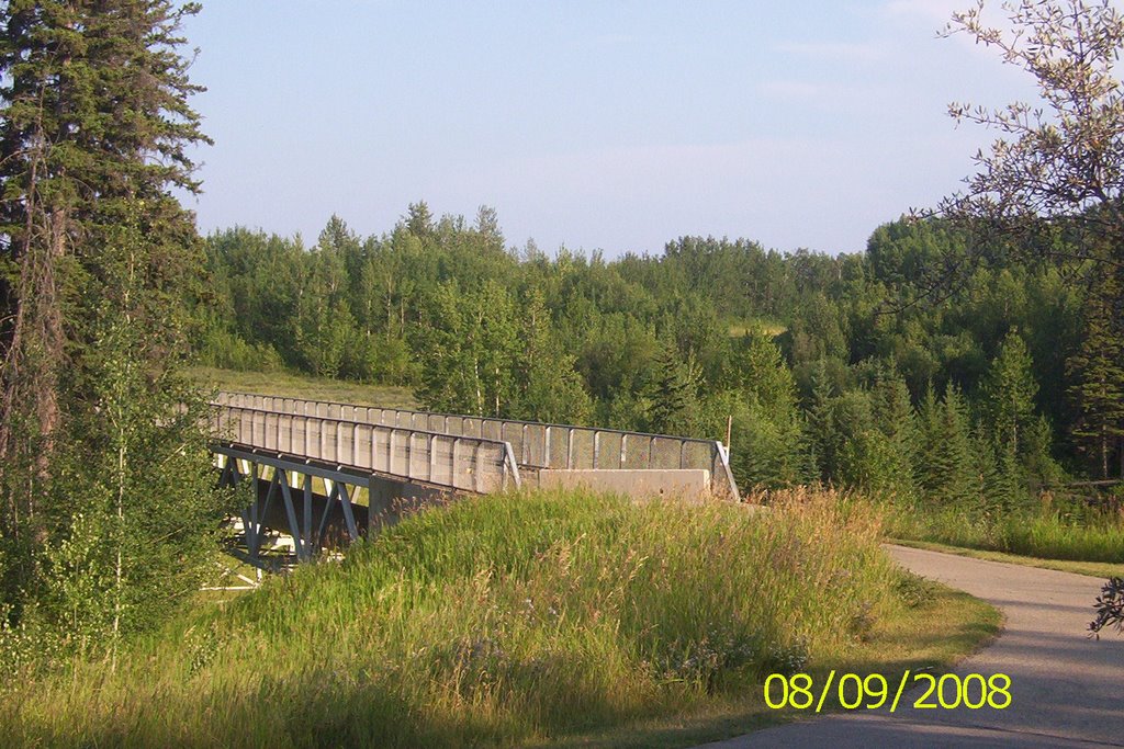 Bridge along Muskoseepee trail by ptcruiser08