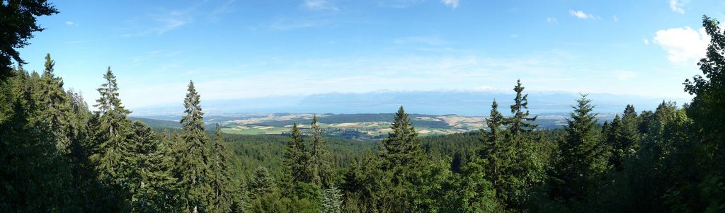 Vue du lac leman au dessus de marchissy by grandrue54