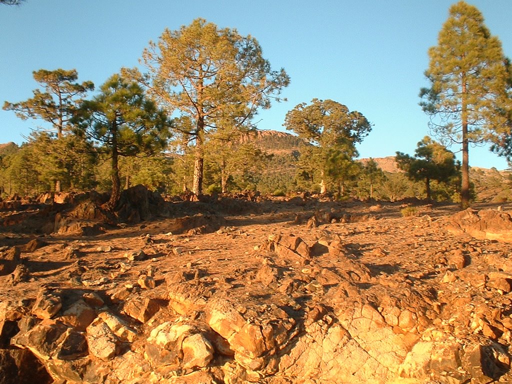 TEIDE by Jose M Galarza