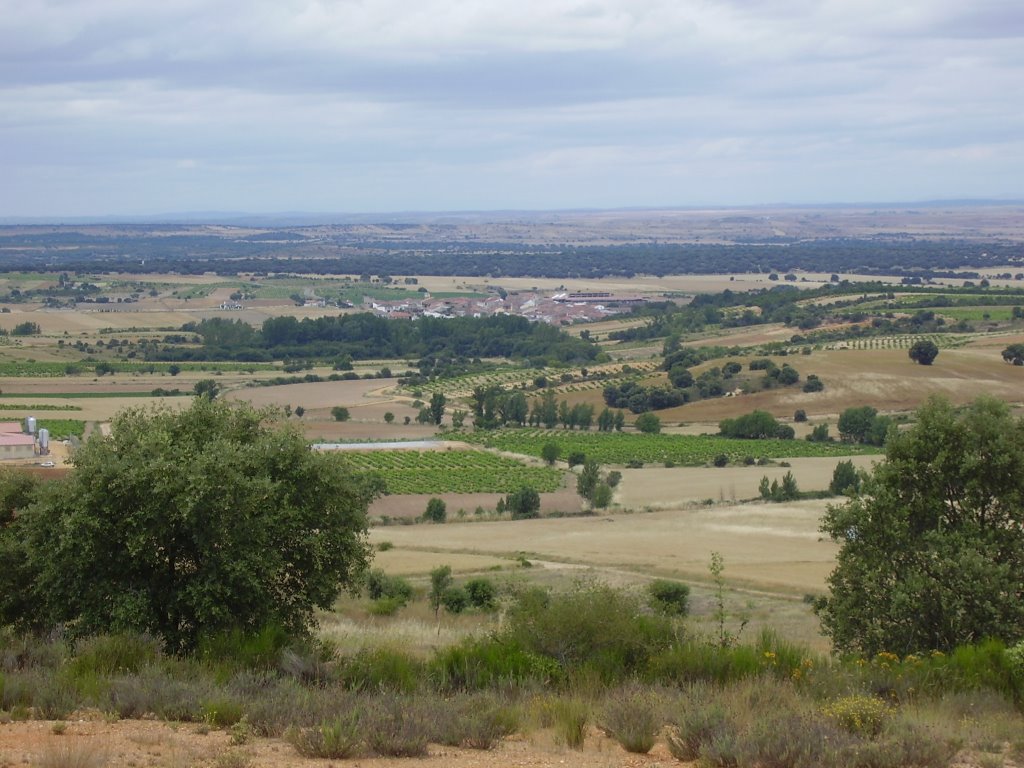 Cerca de Villanueva de Campeán. Zamora. Vía de la Plata by Dácil