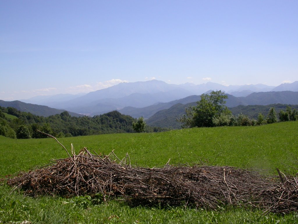 Borgo San Dalmazzo dalla "Memoria delle Alpi" by rnervi