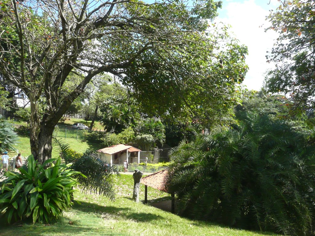 Ondina - Jardim Zoológico - Salvador - BA - BR by Paulo Targino Moreir…