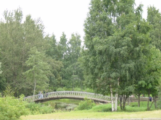 Tsentr, Petrozavodsk, Kareliya Republits, Russia by palombo