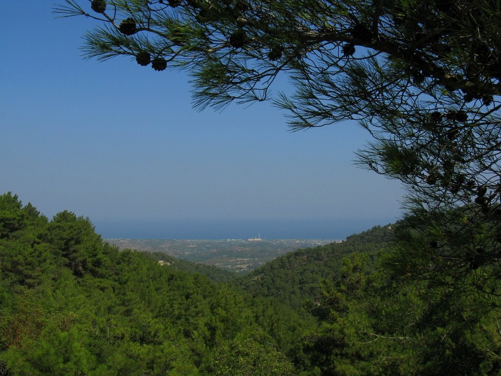 View of the west coast by Atti