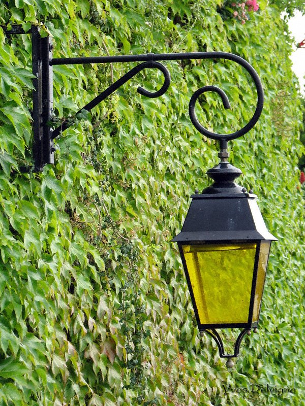 Lampadaire sur vert by Yves Delvigne