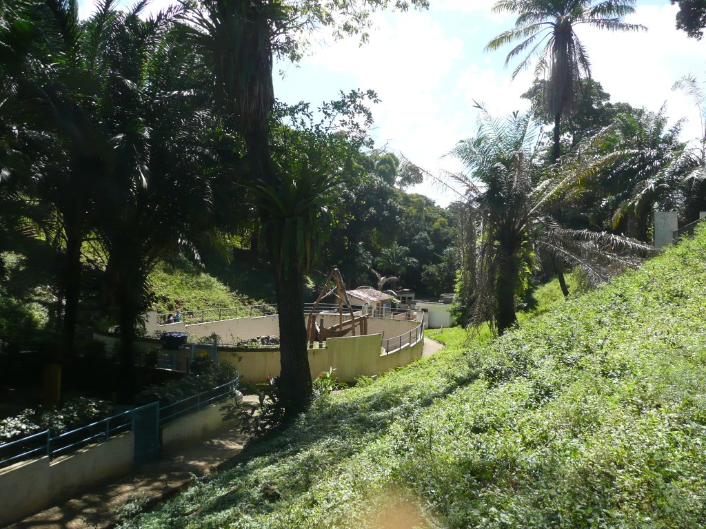 Ondina - Jardim Zoológico - Salvador - BA - BR by Paulo Targino Moreir…