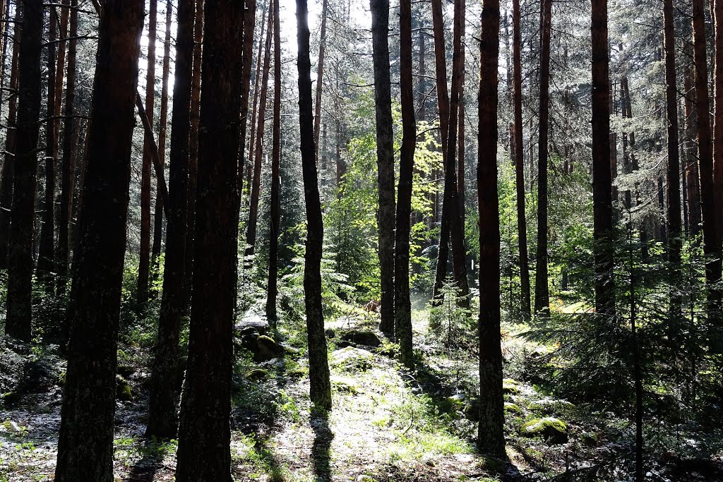 At the foot of Pirin Mountains by Pawel Wierzchowiecki