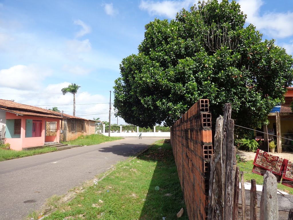 Jaqueira, Rua Durval Dantas, Bragança-Pa by Vitor&Suellen