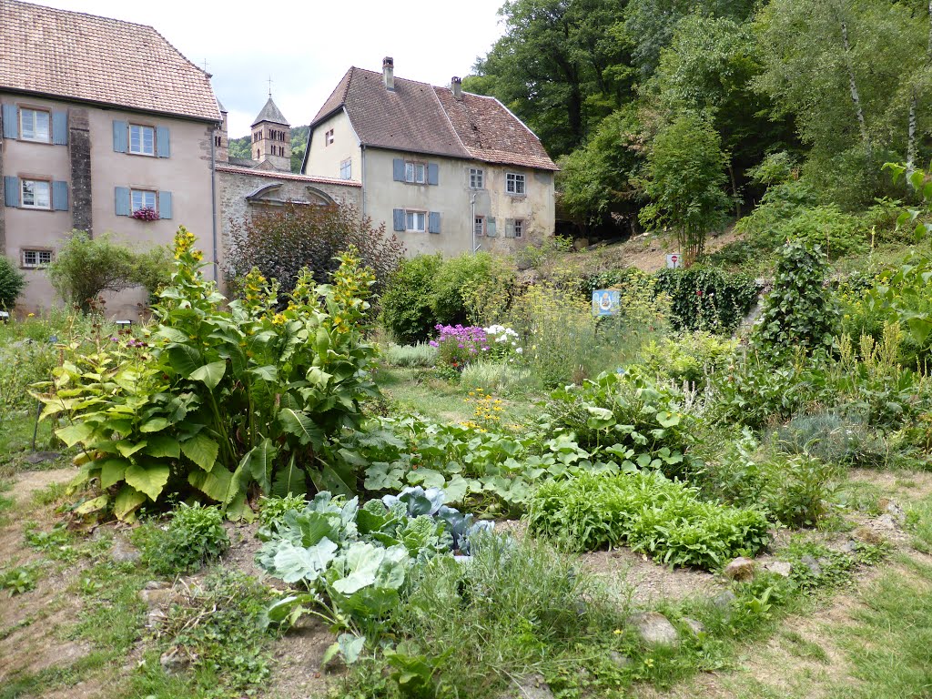 Murbach, France by Sébastien Pfleger