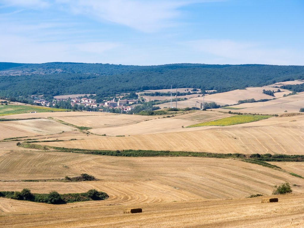 Espinosa del Camino, 09258, Burgos, Spain by Paul Spanjaart