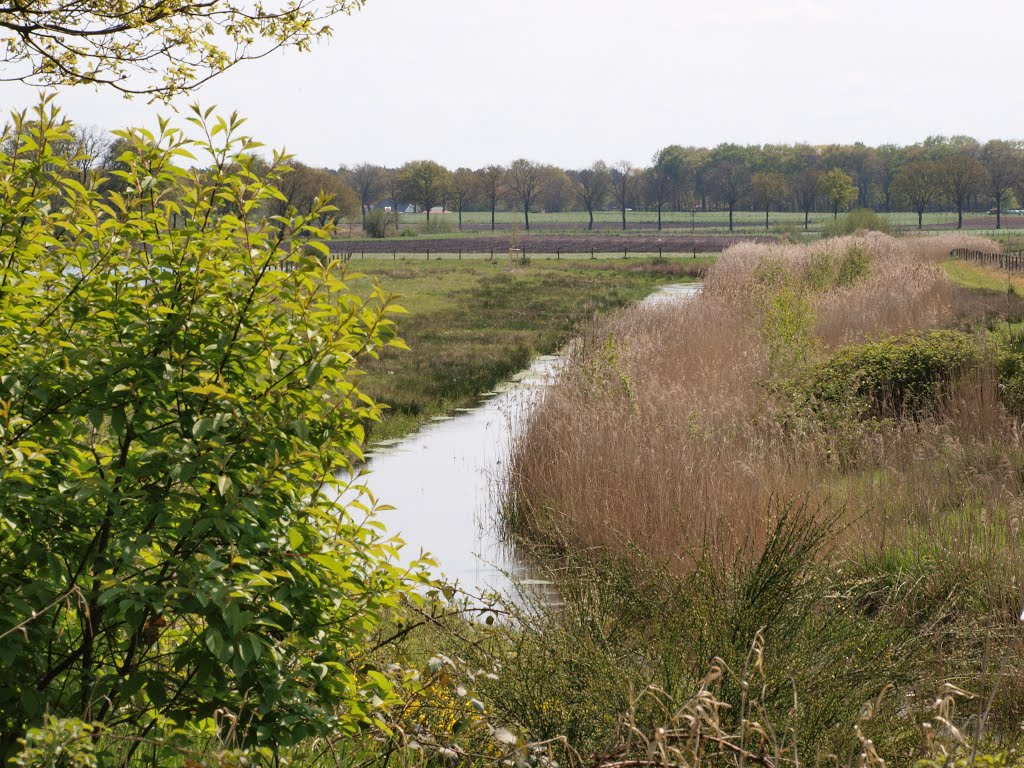 6065 Montfort, Netherlands by Wim Jacobs