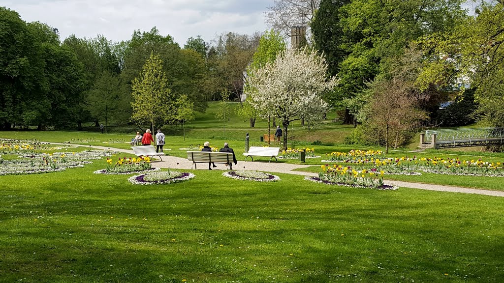 Daliengarten in der Allee by tobimayer