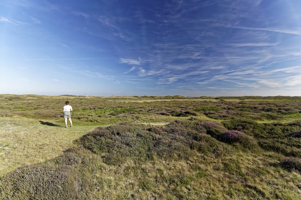 Texel - Bollekamer - View SSE by txllxt TxllxT