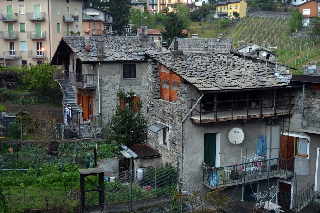 23100 Sondrio, Province of Sondrio, Italy by francesco consoli