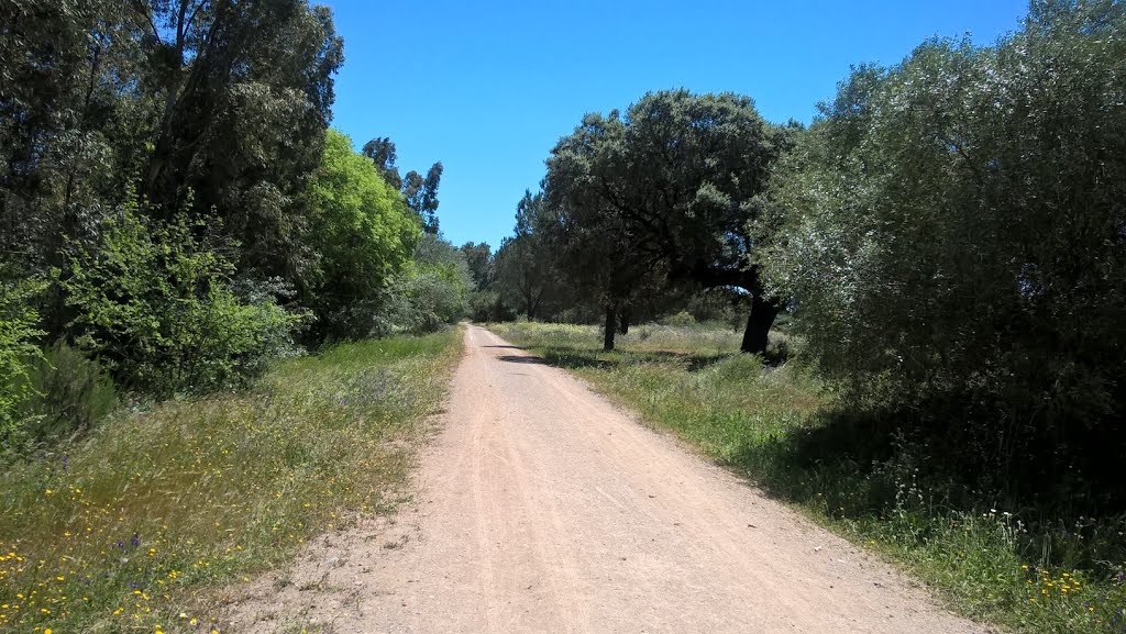 Corredor verde del Guadiamar by Jm Tb