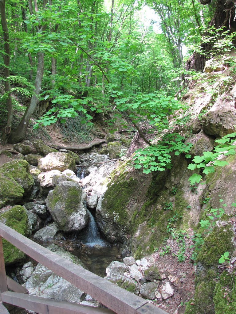 Hungary (Magyarország), Pilisszentkereszt, Dera-szurdok, SzG3 by Gábor Szalay