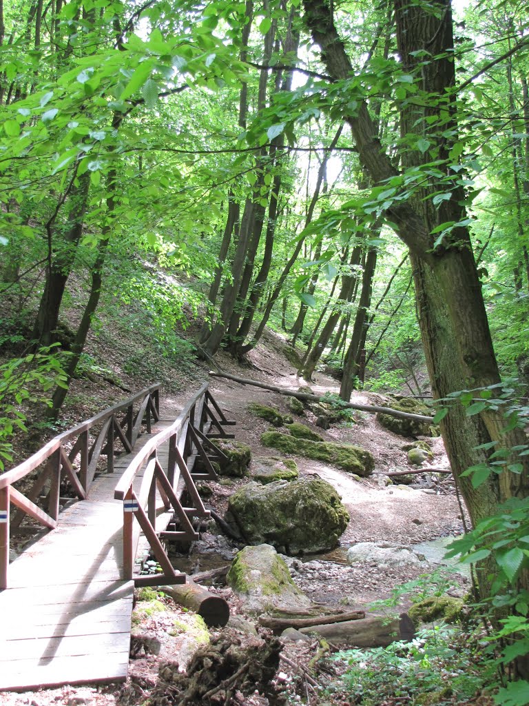 Hungary (Magyarország), Pilisszentkereszt, Dera-szurdok, SzG3 by Gábor Szalay