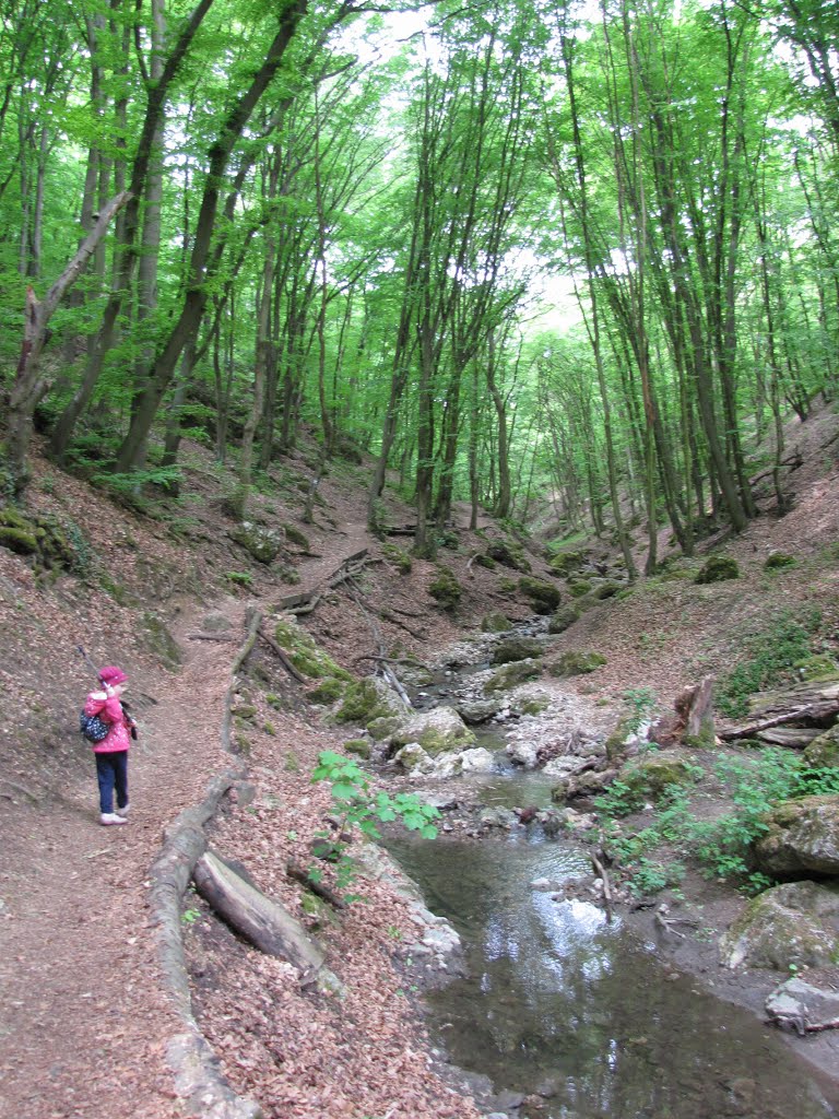 Hungary (Magyarország), Pilisszentkereszt, Dera-szurdok, SzG3 by Gábor Szalay