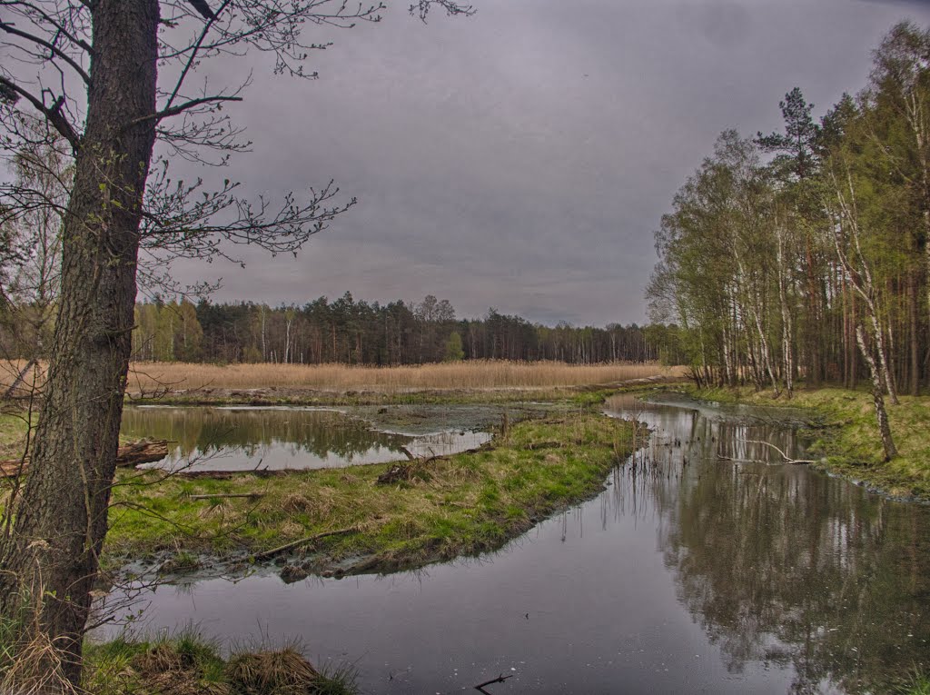 Tarnowskie Gory, Poland by R.C Luc