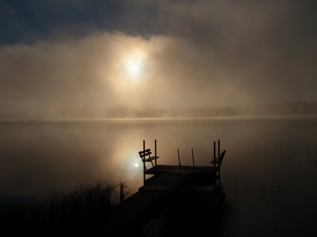 Foggy morning 4 by Pate