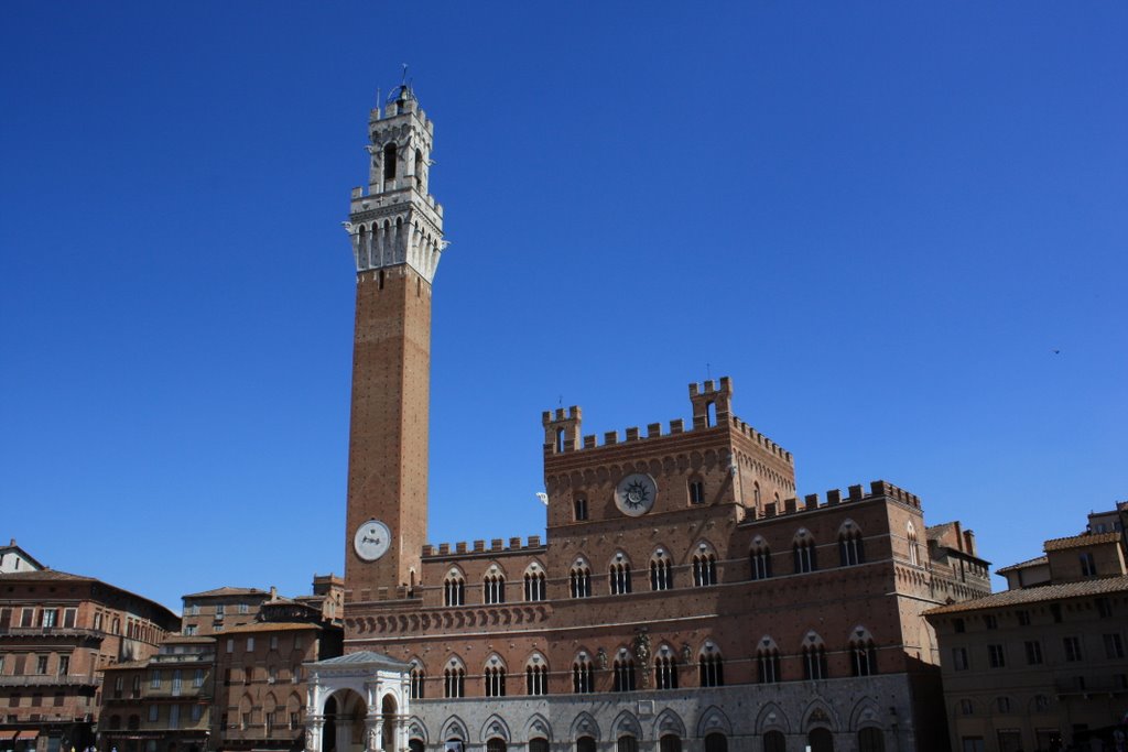 Piazza il Campo, Siena by fotogasamans