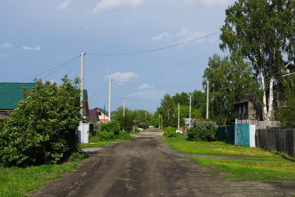 Kalininskiy rayon, Novosibirsk, Novosibirskaya oblast', Russia by Белолит - Центр найм…