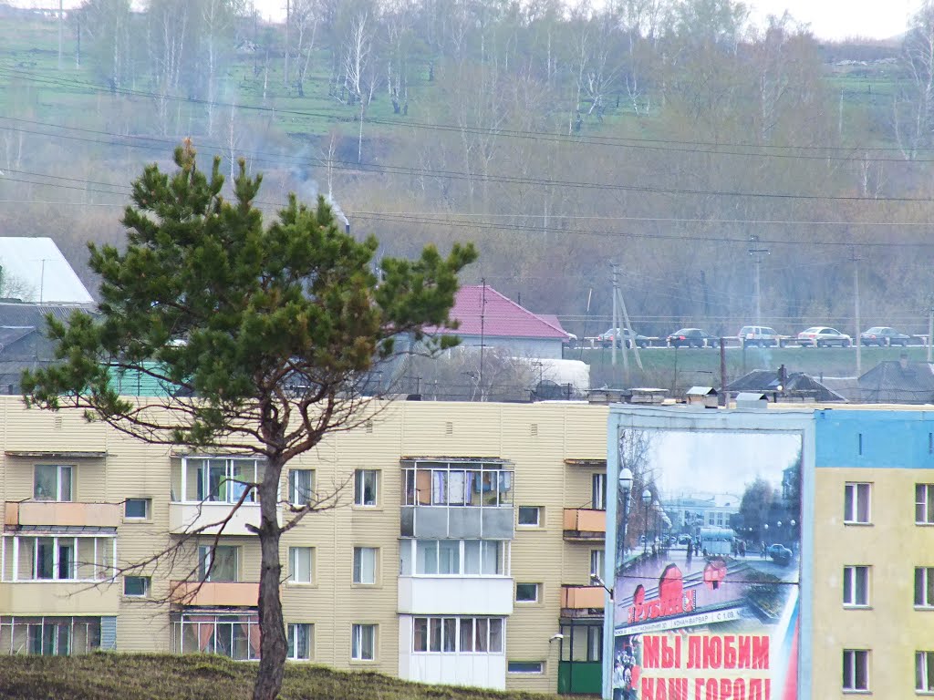 Belovsky District, Kemerovo Oblast, Russia by Andy Psyandr