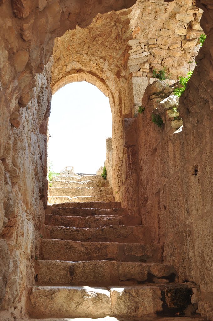 Castillo de Aljoun, Jordania by Ser Viajero