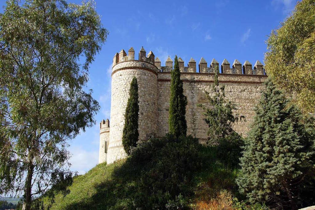 45515 Maqueda, Toledo, Spain by Heribert Bechen