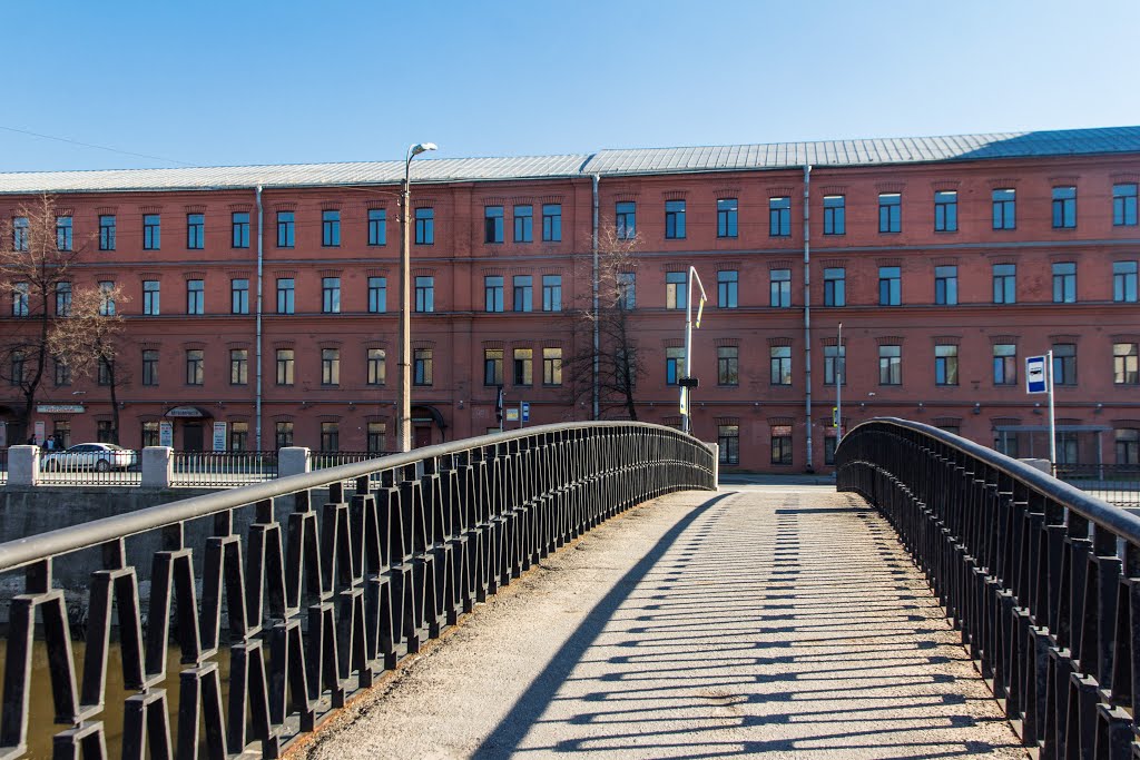 Borisov Bridge, Saint Ptersburg, Russia by Alexey Komarov