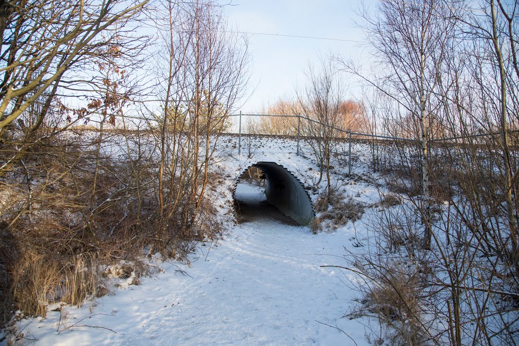 Hästhagabergen, Varberg, Sverige by Jorfro