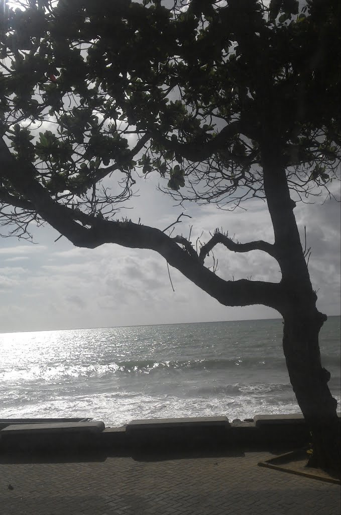 Praia da Boa Viagem, Recife - PE by Adolfo Ribeiro Garci…