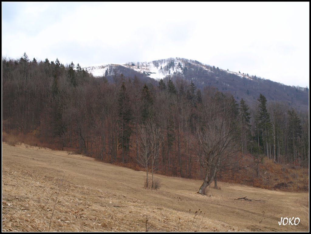 KOZÍ CHRBÁT by < JOKO >