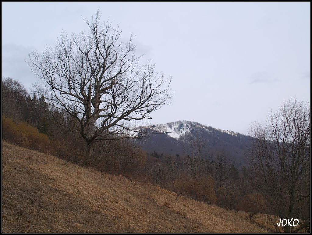 NÍZKE TATRY by < JOKO >