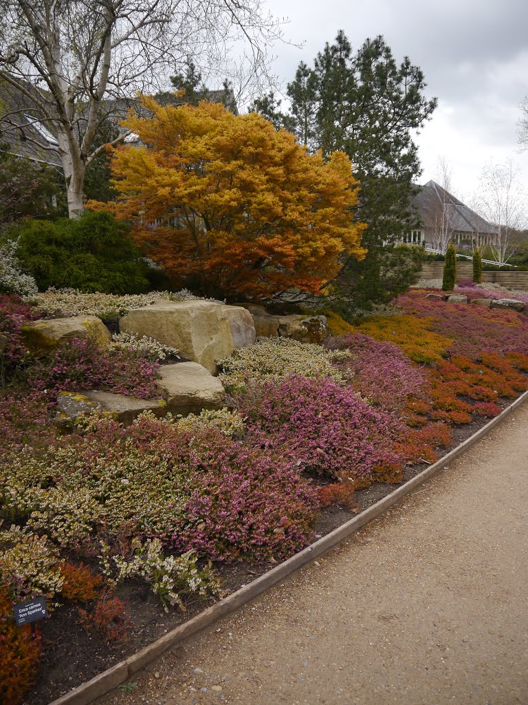 RHS Harlow Carr, Harrogate by Dave Pashby